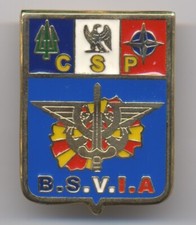 Insigne bsvia csp d'occasion  Arcis-sur-Aube
