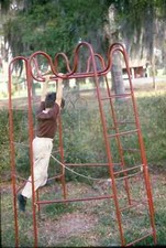 Boy playing jungle for sale  Red Oak