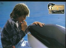 Free willy aushangfoto gebraucht kaufen  Ahlen-Vorhelm