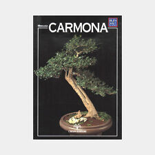 Manuale bonsai guida usato  Roma