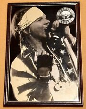 Vintage axl rose for sale  Madison