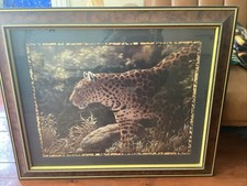 cheetah picture for sale cheetah picture for sale Schenectady