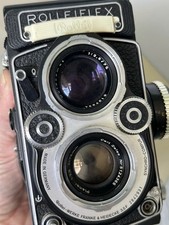 Rare white face for sale  Corona