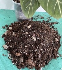Planttini substrat erdmix gebraucht kaufen  Porta Westfalica