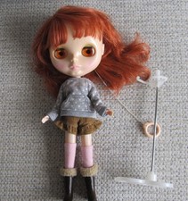Takara friendly freckles for sale  ALTRINCHAM
