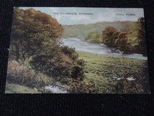 Wilderness wetherby postcard for sale  ANSTRUTHER