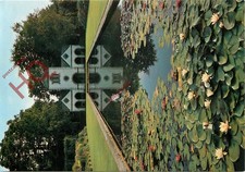 Picture postcard bodnant for sale Picture postcard bodnant for sale  NEWCASTLE UPON TYNE