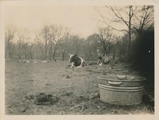 Snapshot vintage photo for sale  Arvada