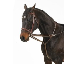 Camelot german martingale for sale  North Richland Hills