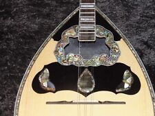Greek bouzouki hardcase d'occasion  Expédié en Belgium