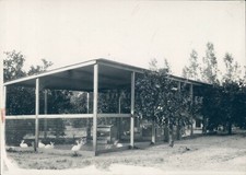 1943 photo press for sale  Germantown
