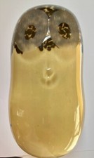 Wedgwood glass owl for sale  GRAYS