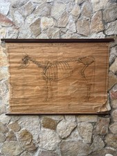 Tavola parietale vintage usato Tavola parietale vintage usato  Calvizzano