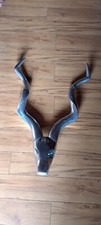 Hirschgeweih alu geweih gebraucht kaufen  Hauenstein