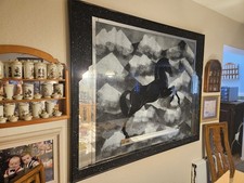 Black stallion horse for sale  El Cajon
