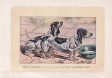 1896 BLUE GASCONY BASSET Impressão para Cachorro - Presente Arte de Parede para Cachorro - Animal - 10 x 7 Polegadas comprar usado 1896 BLUE GASCONY BASSET Impressão para Cachorro - Presente Arte de Parede para Cachorro - Animal - 10 x 7 Polegadas comprar usado  Enviando para Brazil