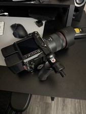 Red komodo for sale  El Monte