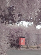 Infrared full spectrum for sale  SHREWSBURY