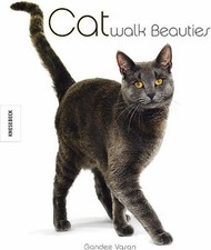 Catwalk beauties katzen gebraucht kaufen  Berlin