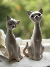 White siamese long for sale  Bark River