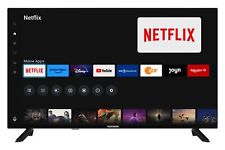 Telefunken zoll fernseher gebraucht kaufen  Birkenfeld