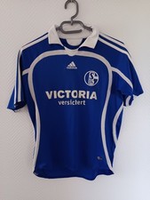 Schalke 2006 heim gebraucht kaufen  Vlotho