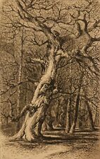 Vintage leafless tree for sale  Union