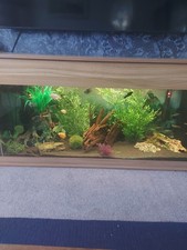 5ft fish tank for sale  ASHFORD
