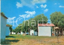 1971 ascea marina usato  Milano
