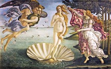 Birth venus sandro for sale  Amesbury
