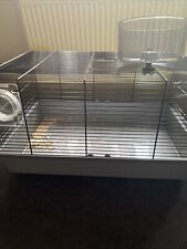 Two big hamster for sale  SURBITON