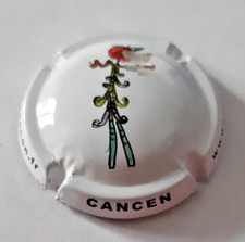 Capsule cancen d'occasion  Sens