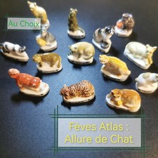 Choix fèves atlas d'occasion  Nouaillé-Maupertuis