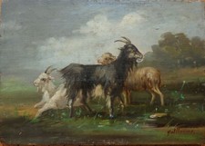 Chèvre mouton peinture d'occasion  Paris IX