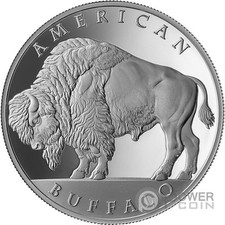 American buffalo moneda usato  Ciampino