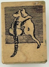 Magenta pair cats for sale  Eugene
