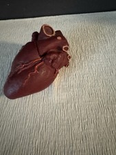 Menschliches herz riginal gebraucht kaufen  Gießen