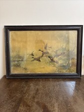 Vintage framed duck for sale  WIMBORNE