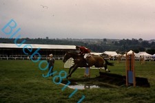 Show jumping water for sale  ROSSENDALE