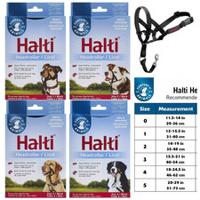 Company animals halti for sale Company animals halti for sale  ASHFORD
