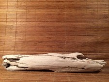 Beautiful driftwood garden for sale  Coupeville