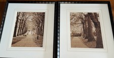 Park walkway fall for sale  Lombard