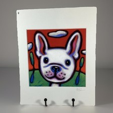 French bulldog derpy for sale  Phoenix