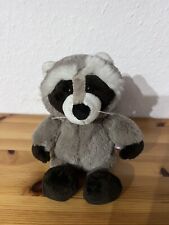 Nici raccoon gebraucht kaufen  Koblenz