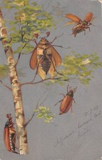 Fancy postcard representing d'occasion  Expédié en Belgium