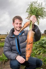 Carota gigante giant usato  Cirie