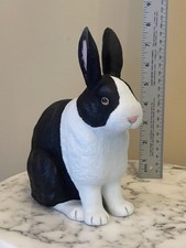 bunnies dutch rabbit for sale  Decatur