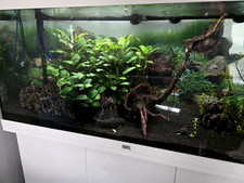 juwel 180 for sale juwel 180 for sale BRIDGEND