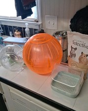 casinha hamster comprar usado casinha hamster comprar usado Enviando para Brazil