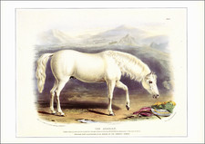 1990 vintage print for sale  Carmel Valley